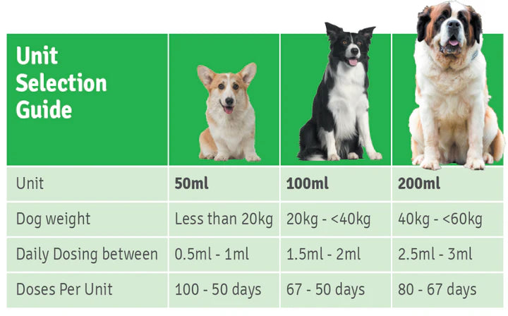 4CYTE - Dog Gel - Pets Wonderland