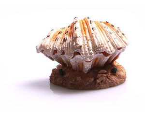 Aqua One - Ornament Air Operated Clam On Sand - Pets Wonderland