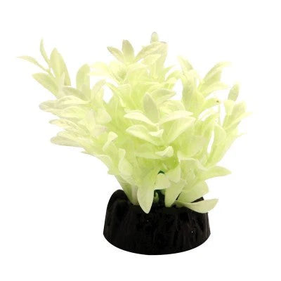 Aqua One - Plastic Plant Glow In The Dark Hygro - Pets Wonderland