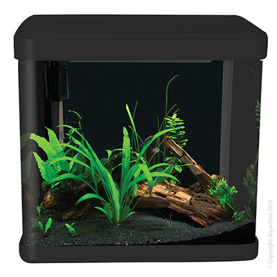 Aqua One - Lifestyle 21 Complete Glass Aquarium 32cm 21L - Pets Wonderland