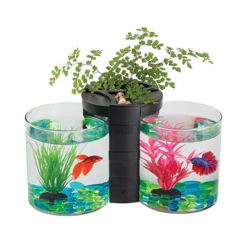 betta fish accessories australia Blue Planet