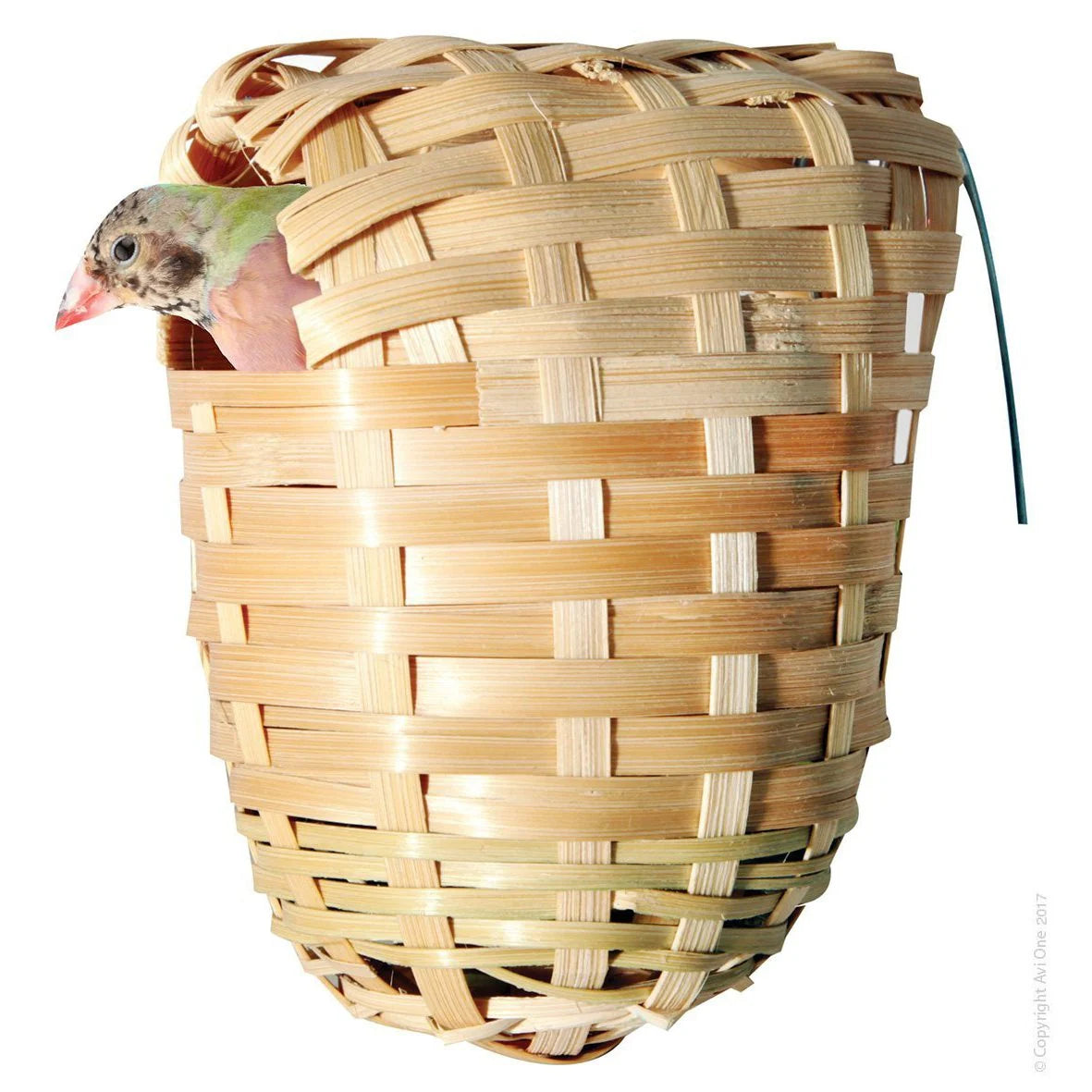Central Pet - Finch Bird Nest Large 13cm - Pets Wonderland