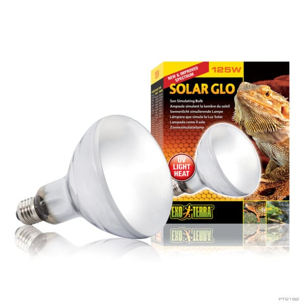 Exo Terra - Solar Glo Uv Heat Lamp - Pets Wonderland