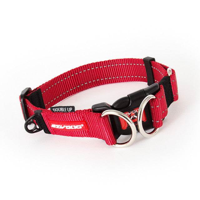 Ezydog - Double Up Collar - Pets Wonderland