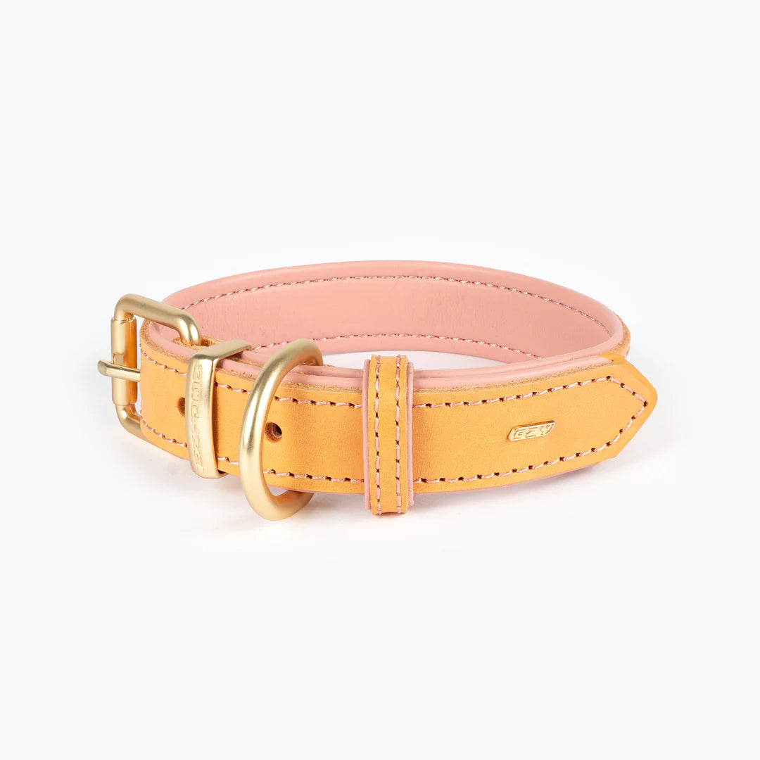 Ezydog - Collar Oxford Classic Leather - Pets Wonderland