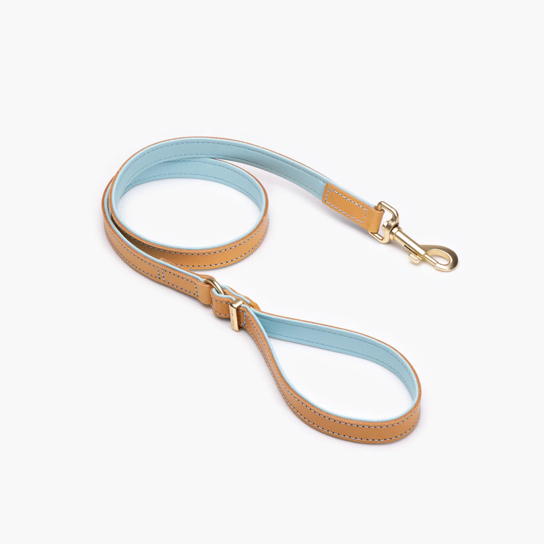 Ezydog - Lead Oxford Classic Leather - Pets Wonderland