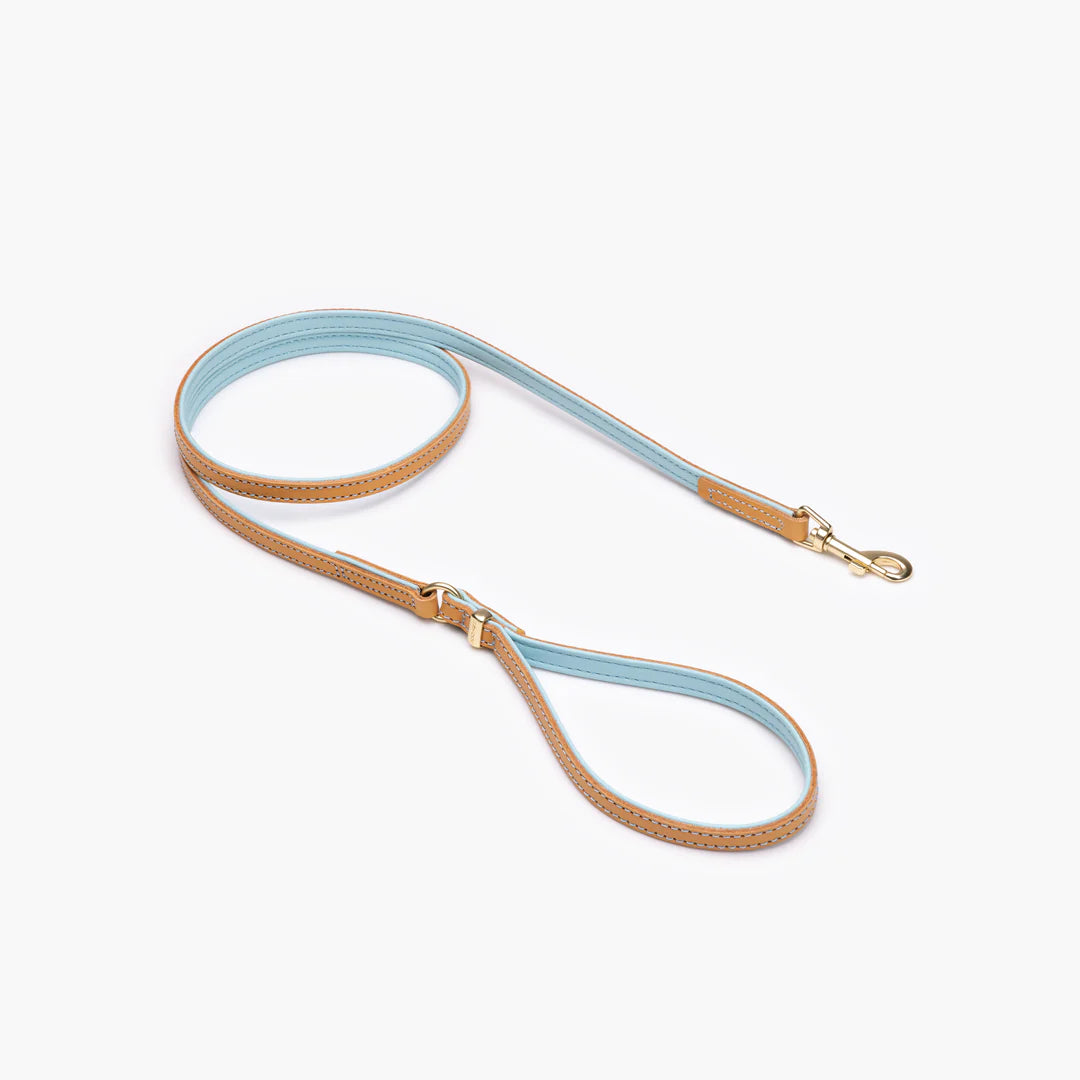 Ezydog - Lead Oxford Classic Leather Lite - Pets Wonderland