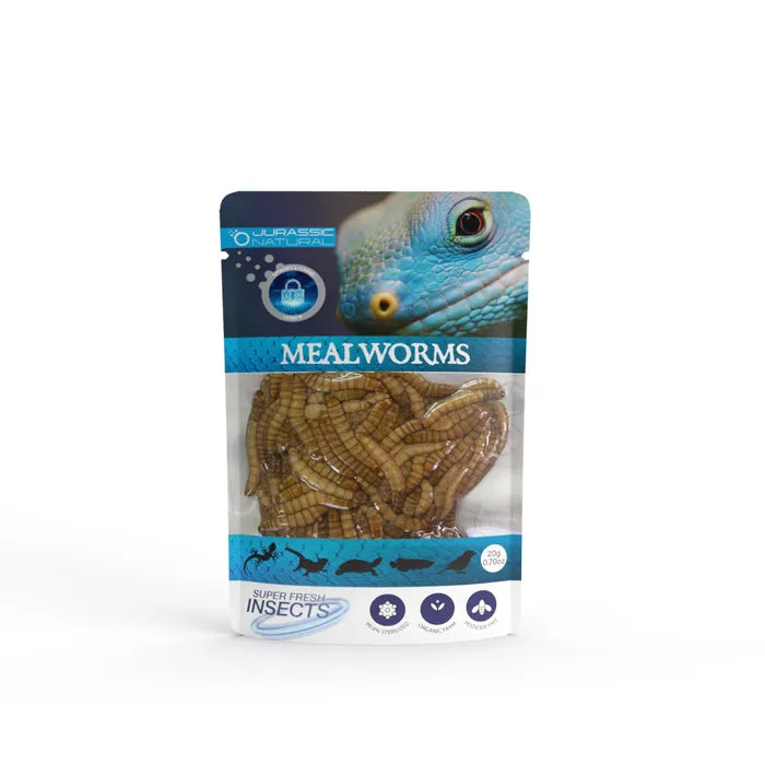 Jurassic Natural - Superfresh Insects Reptile Food - Pets Wonderland