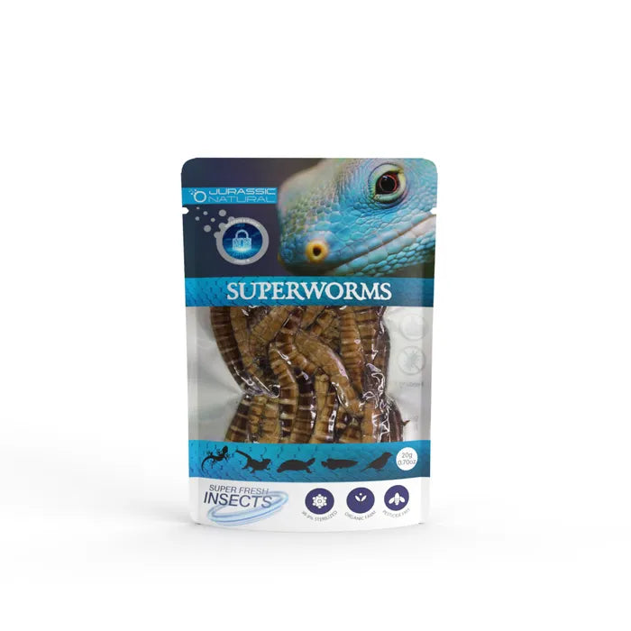 Jurassic Natural - Superfresh Insects Reptile Food - Pets Wonderland