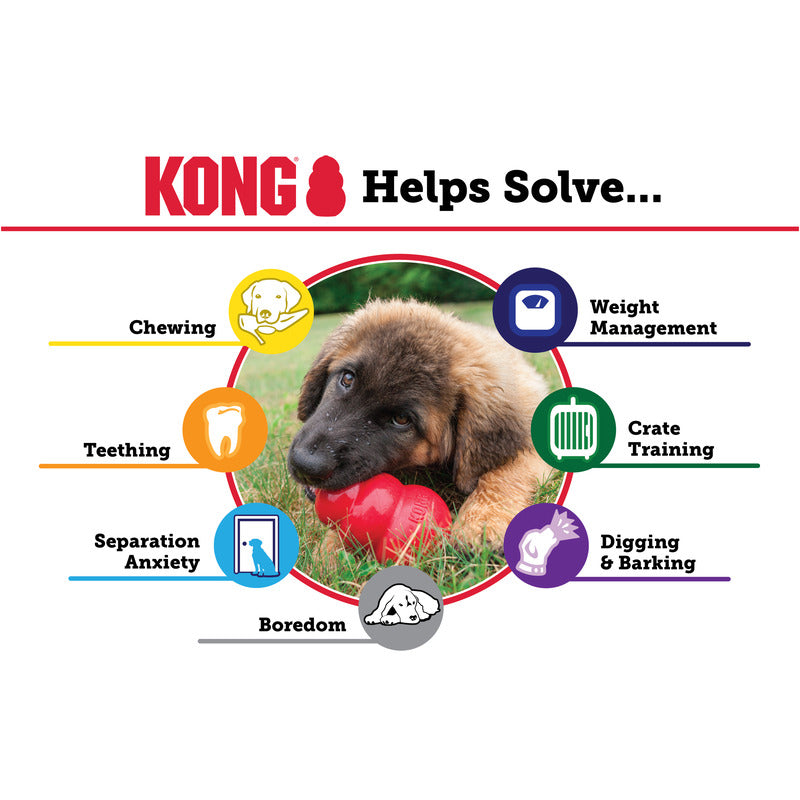 KONG - Classic Red Kong - Pets Wonderland