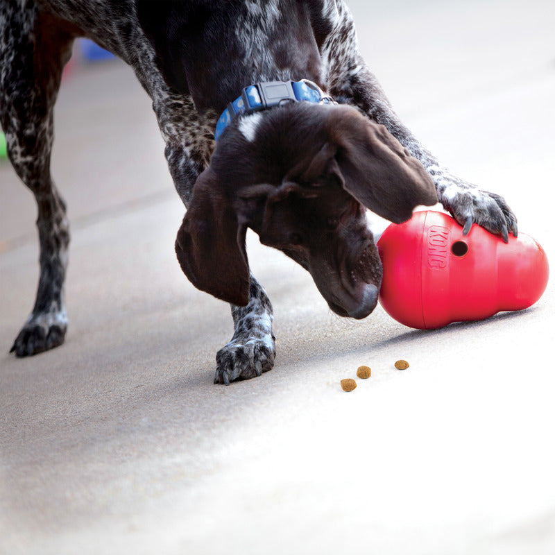 KONG - Wobbler - Pets Wonderland