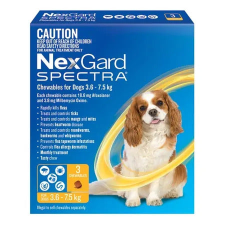 Nexgard Spectra - 3.6-7.5Kg (Yellow) - Pets Wonderland