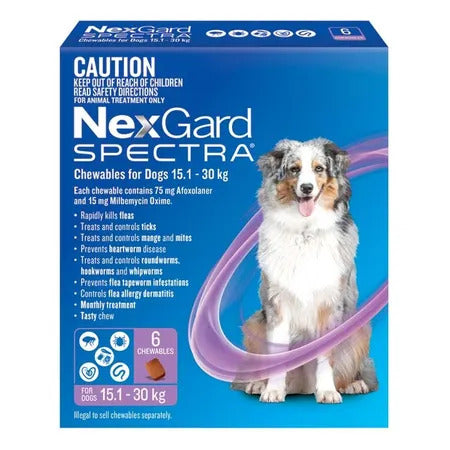 Nexgard Spectra - 15.1-30Kg (Purple) - Pets Wonderland