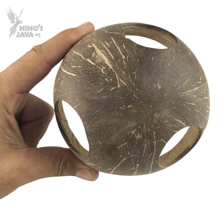 Nino's Java - Fish Coco Hide Multi Hole - Pets Wonderland