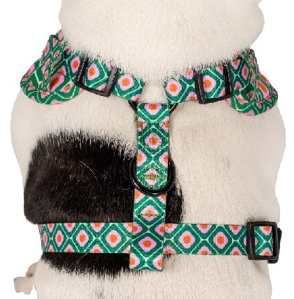 Pablo & Co. - Harness "70's Style" - Pets Wonderland