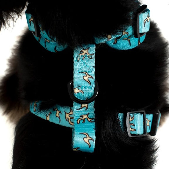 Pablo & Co. - Harness "90's Flames" - Pets Wonderland