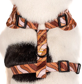 Pablo & Co. - Harness "Espresso Swirls" - Pets Wonderland