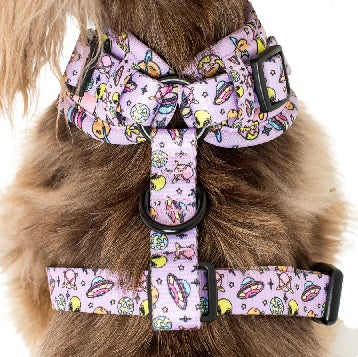 Pablo & Co. - Harness "Out Of This World" - Pets Wonderland