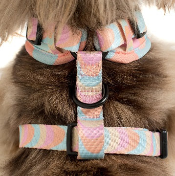 Pablo & Co. - Harness "Wavy" - Pets Wonderland