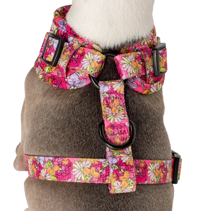 Pablo & Co. - Harness "In Bloom" - Pets Wonderland
