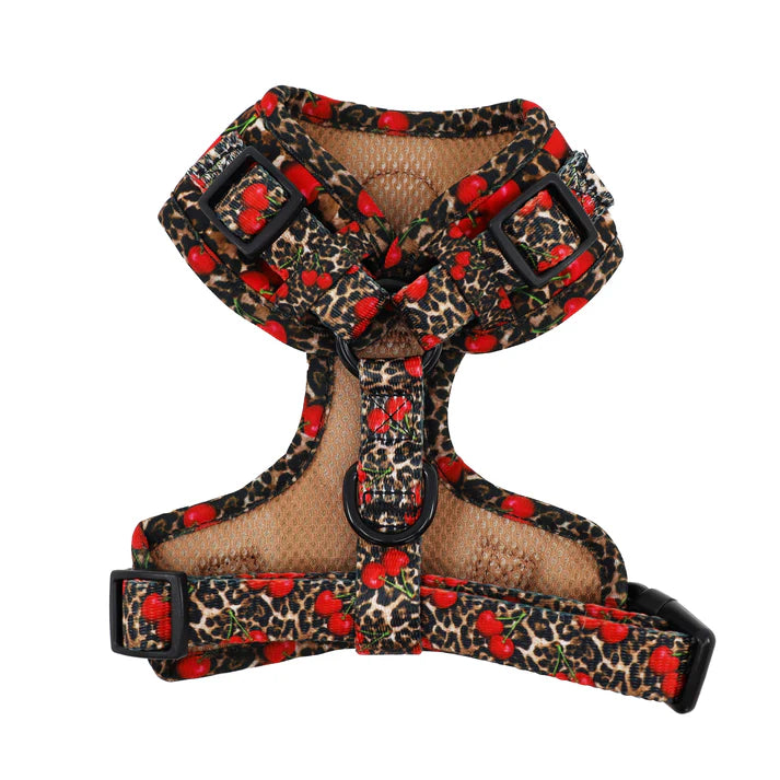 Pablo & Co. - Harness "Leopard Cherries" - Pets Wonderland