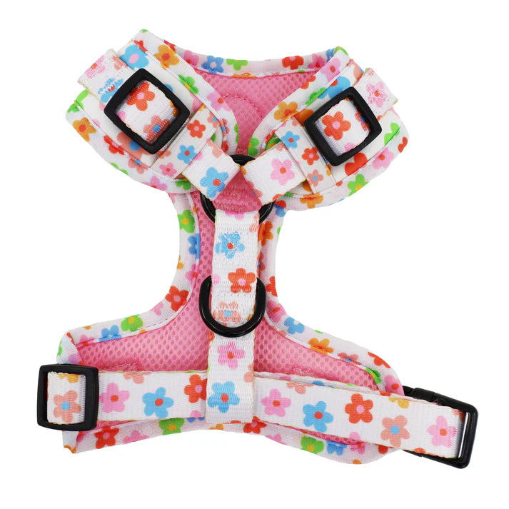 Pablo & Co. - Harness "Posy" - Pets Wonderland