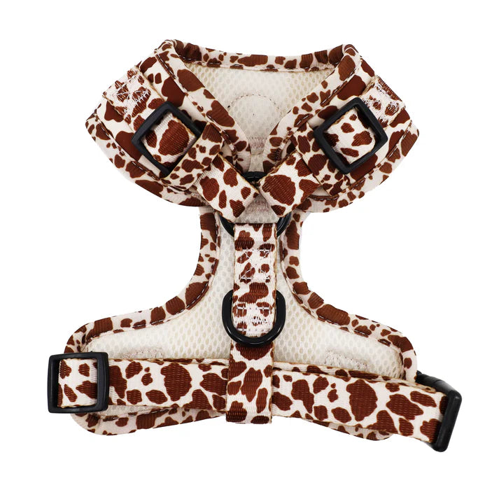 Pablo & Co. - Harness "Rodeo" - Pets Wonderland