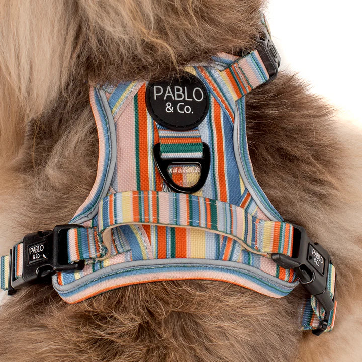 Pablo & Co - Adventure Harness "The Cabana" - Pets Wonderland