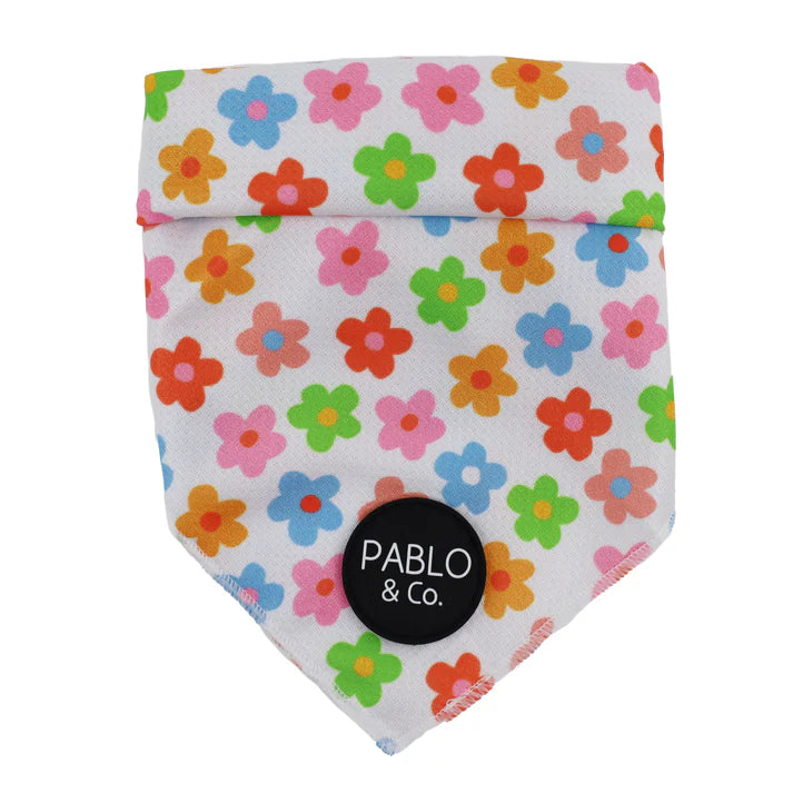 Pablo & Co. - Bandana - Pets Wonderland