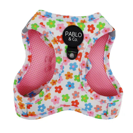 Pablo & Co. - Cat Harness - Pets Wonderland
