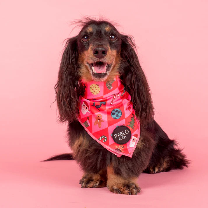 Pablo & Co. - Christmas Cheer Dog Bandana - Pets Wonderland