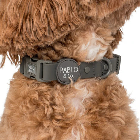 Pablo & Co. - Collar Waterproof (Clip Style) - Pets Wonderland