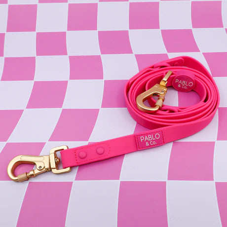 Pablo & Co. - Lead Multi Functional Waterproof - Pets Wonderland