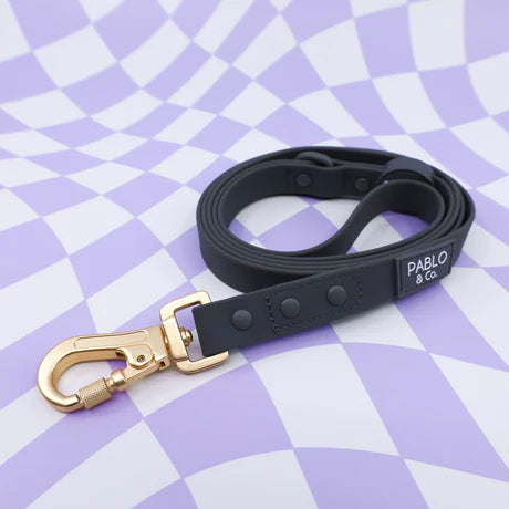 Pablo & Co. - Lead Waterproof (New Style) - Pets Wonderland