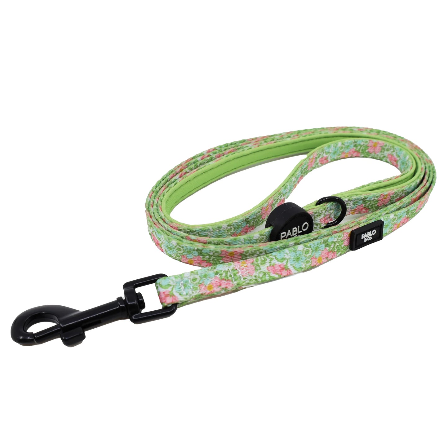 Pablo & Co. - Cat Lead - Pets Wonderland