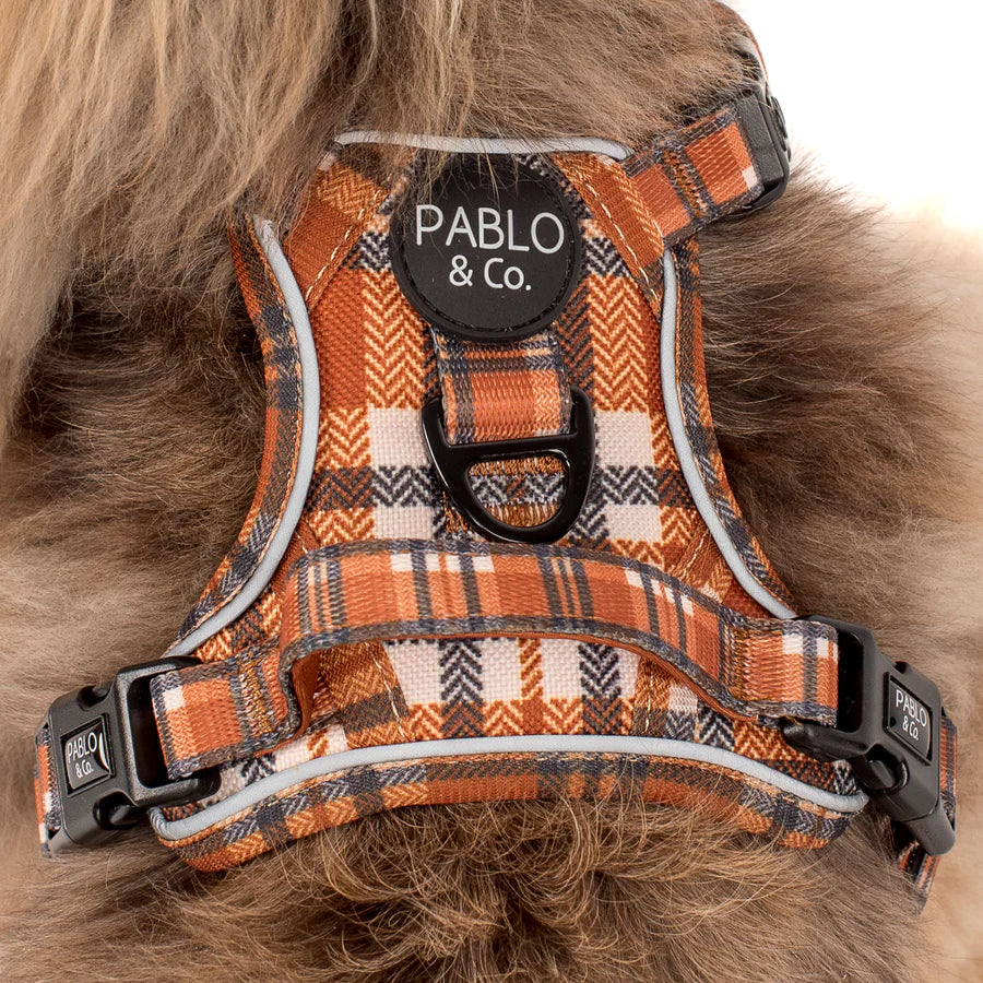 Pablo & Co - Adventure Harness "Vintage Plaid" - Pets Wonderland