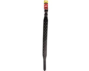 Pet One - Collar Leather Three Row Studded Black - Pets Wonderland