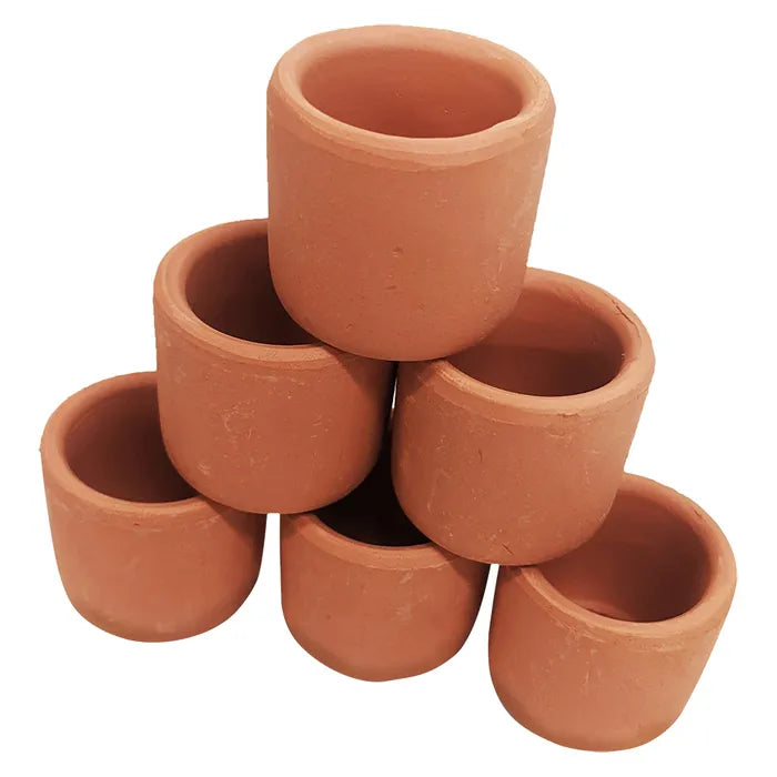 Pisces - Terracotta Plant Pot - Pets Wonderland