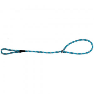 Prestige Mountain - Choker Lead - Pets Wonderland