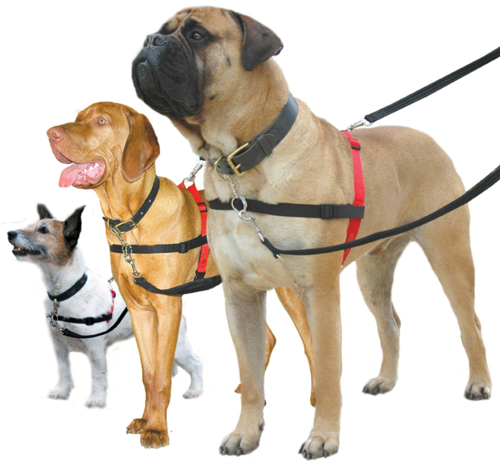 Purina dog harness hotsell