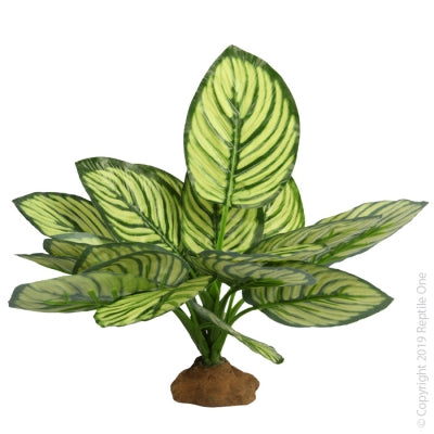 Reptile One - Brandtianum With Resin Base - Pets Wonderland