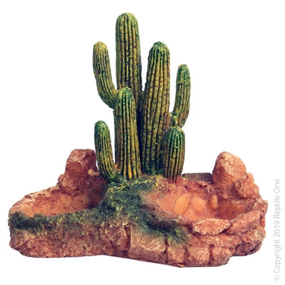 Reptile One - Cactus Garden W/ Resin Base - Pets Wonderland