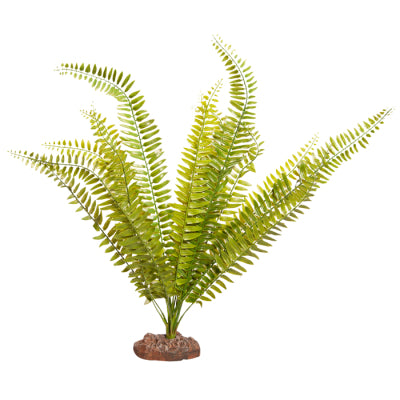 Reptile One - Fern Green With Ceramic Base - Pets Wonderland
