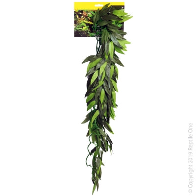 Reptile One - Tradescantia Cascading Plant Green - Pets Wonderland