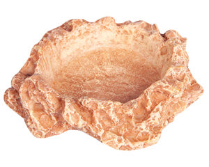 Reptile One - Reptile Dish - Pets Wonderland