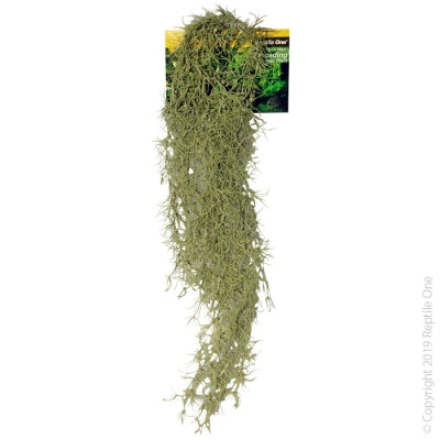 Reptile One - Hanging Spanish Moss Grey 40cm - Pets Wonderland