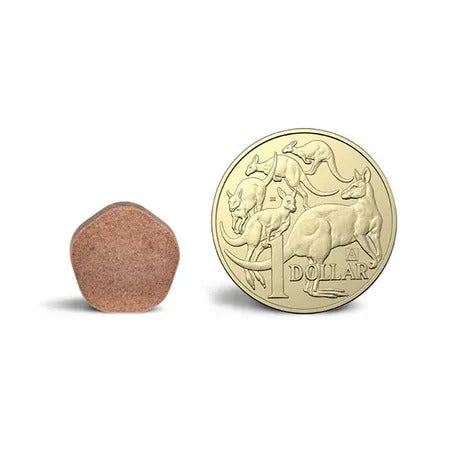 Simparica Trio - Fleas, Ticks & Worming Chewable for Dogs 5.1-10kg 3 Pack - Pets Wonderland