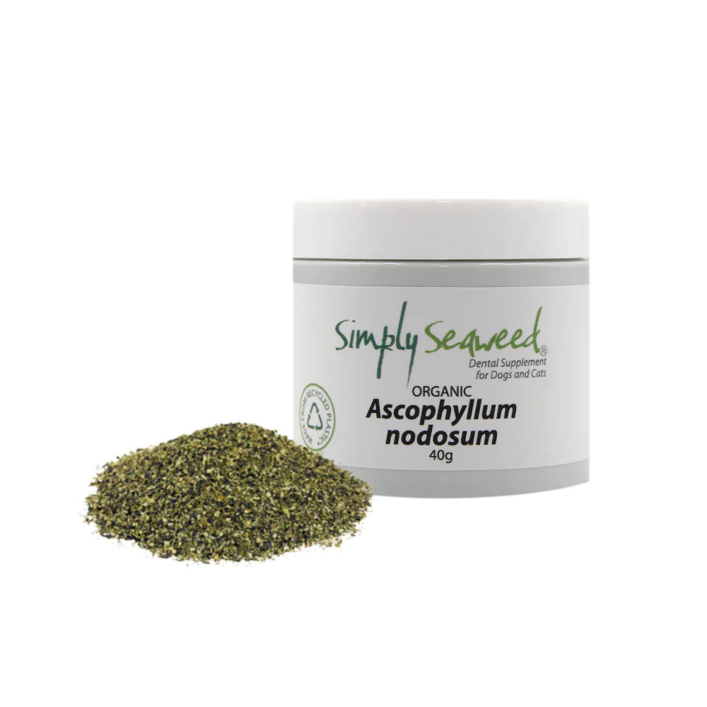 Simply Seaweed - Dental Supplement for Dogs and Cats - Pets Wonderland