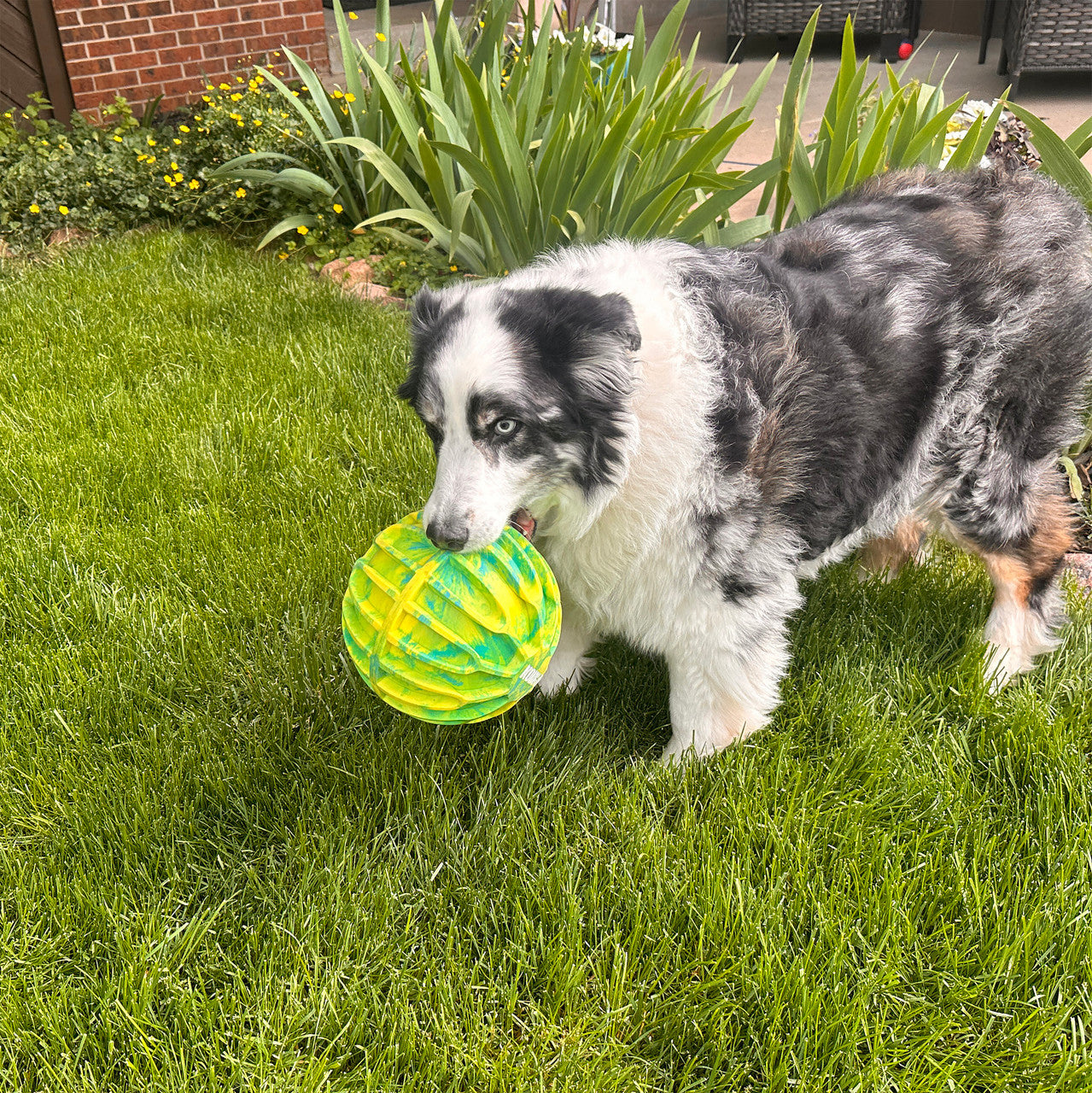 Kong - Flexball Sport XL