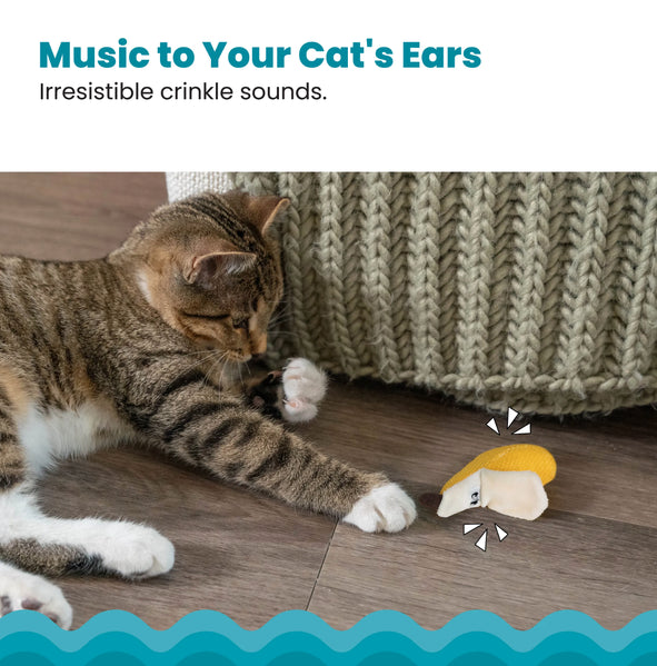 Catstages - Dental Banana